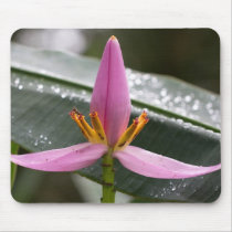 Banana Flower Mousepad