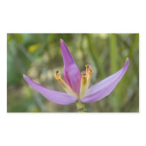 Banana Flower Stickers