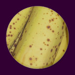 Banana Fruit Magnet
