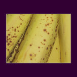 Banana Fruit Post card