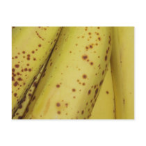 Banana Fruit Post card postcards by emele1 Banana Fruit Post card postcards
