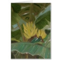 Banana Grove Card by susanpaynetrutna Banana Grove Card