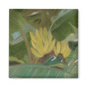 "Banana Grove" magnet by susanpaynetrutna "Banana Grove" magnet