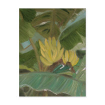 "Banana Grove" postcards