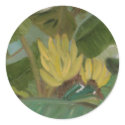 BANANA GROVE stickers