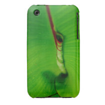 Banana Leaf iPhone Case Iphone 3 Covers