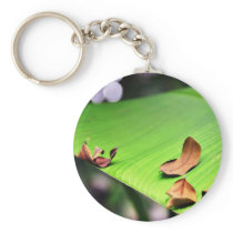 Banana Leaf Key Chain