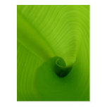 Banana Leaf Post Card