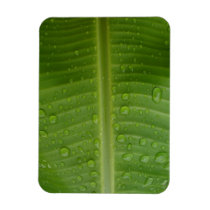 Banana Leaf Vinyl Magnet