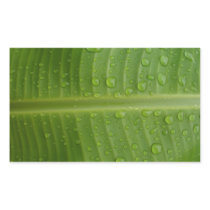 Banana Leaf Stickers