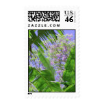 Banana Leaves and Jacaranda Stamp