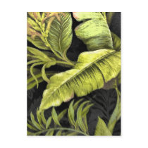Banana On Black Postcards