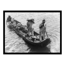 Banana Peddlers in a Boat in Panama 1898 posters by lc_vintagephotos Banana Peddlers in a Boat in Panama 1898 posters