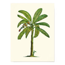 Banana Pen and Ink posters by joeyartist Banana Pen and Ink posters