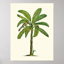 Banana Pen and Ink Posters
