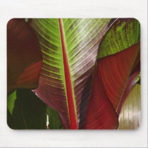 Banana Plant mousepads