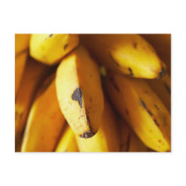 Banana Post Card