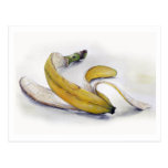Banana skin Postcard postcards