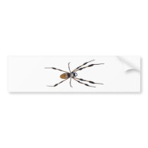 Banana spider bumper stickers by kristinkas Banana spider bumper stickers