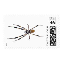 Banana spider postage stamps
