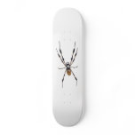 Banana spider