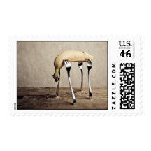 Banana Stamp