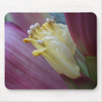 Banana Tree Bloom by Jocelyn Burke mousepads