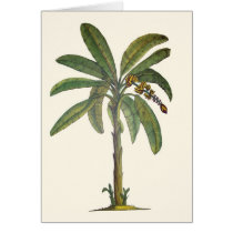Banana Tree Botanical cards