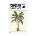 Banana Tree Botanical postage by joeyartist Banana Tree Botanical postage