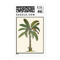 Banana Tree Botanical Stamp
