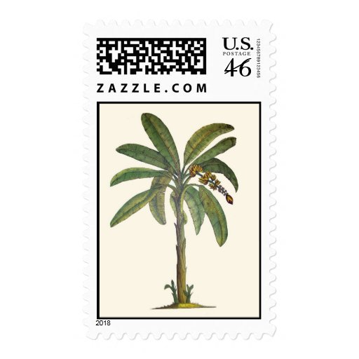 Banana Tree Botanical Stamp