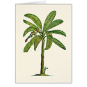 Banana Tree Pen and Ink cards by joeyartist Banana Tree Pen and Ink cards