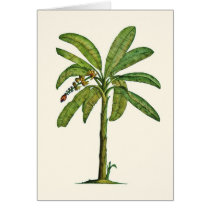 Banana Tree Pen and Ink cards by joeyartist Banana Tree Pen and Ink cards