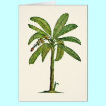 Banana Tree Pen and Ink cards by joeyartist Banana Tree Pen and Ink cards