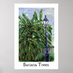Banana Trees Posters
