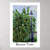 Banana Trees posters