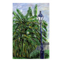 Banana Tress in Jackson Square posters