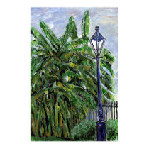 Banana Tress in Jackson Square posters