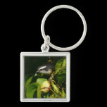 Bananaquit Bird Keychain
