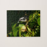 Bananaquit Bird Puzzle
