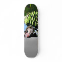 Bananas Fruit skateboards