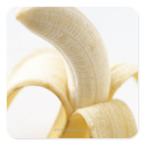 Bananas Sticker