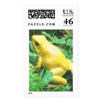 Bananna frog stamps