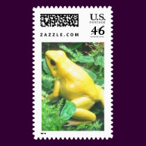 Bananna frog stamps
