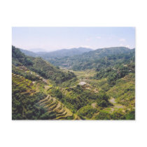 Banaue Rice Terraces Post Card