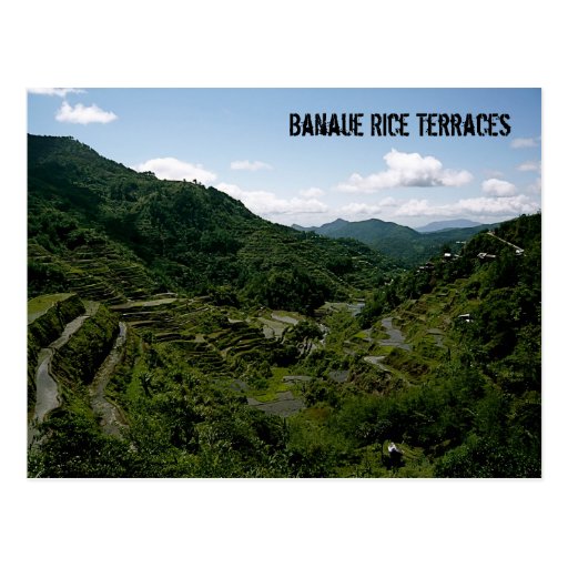 Banaue Rice Terraces Postcard | Zazzle