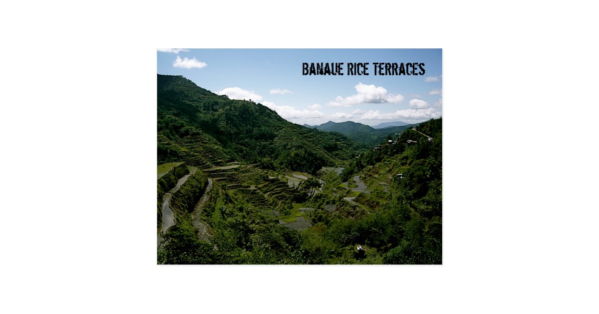 Banaue Rice Terraces Postcard | Zazzle