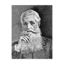 Bancroft ~ George Historian Diplomat Post Card