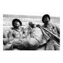 Band Of Brothers posters by Tregarde Band Of Brothers posters