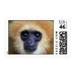 Band Postage